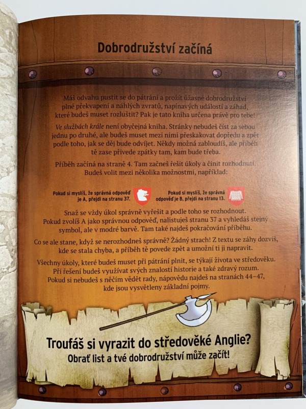 Ve službách krále